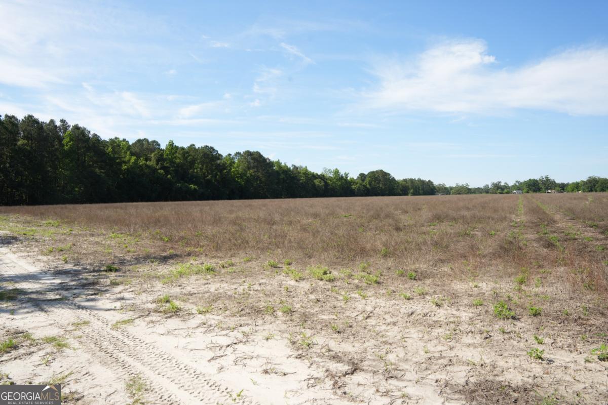 1800 Olive Branch Road Ellabell, GA 31308 - Photo 17 of 20