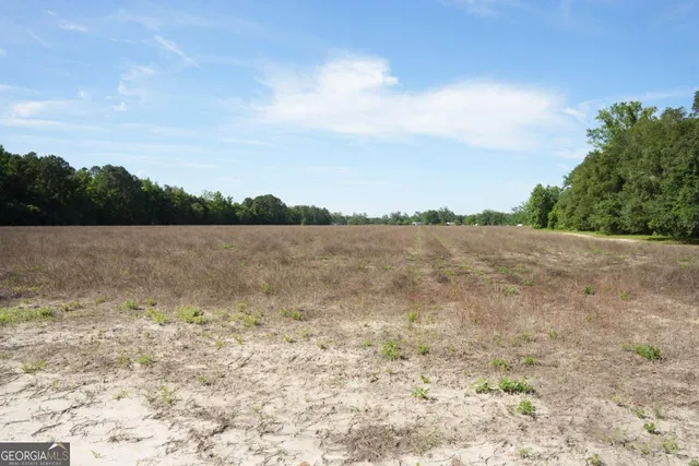 $1,200,000 | 1800 Olive Branch Road, Ellabell, GA 31308