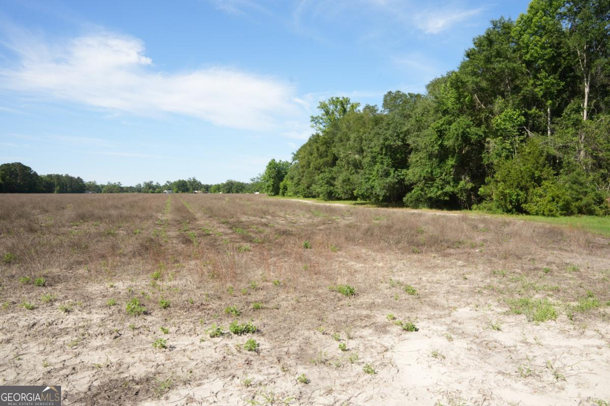 1800 Olive Branch Road Ellabell, GA 31308 - Photo 19 of 20