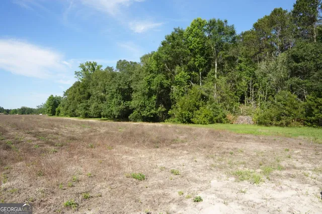 $1,200,000 | 1800 Olive Branch Road, Ellabell, GA 31308