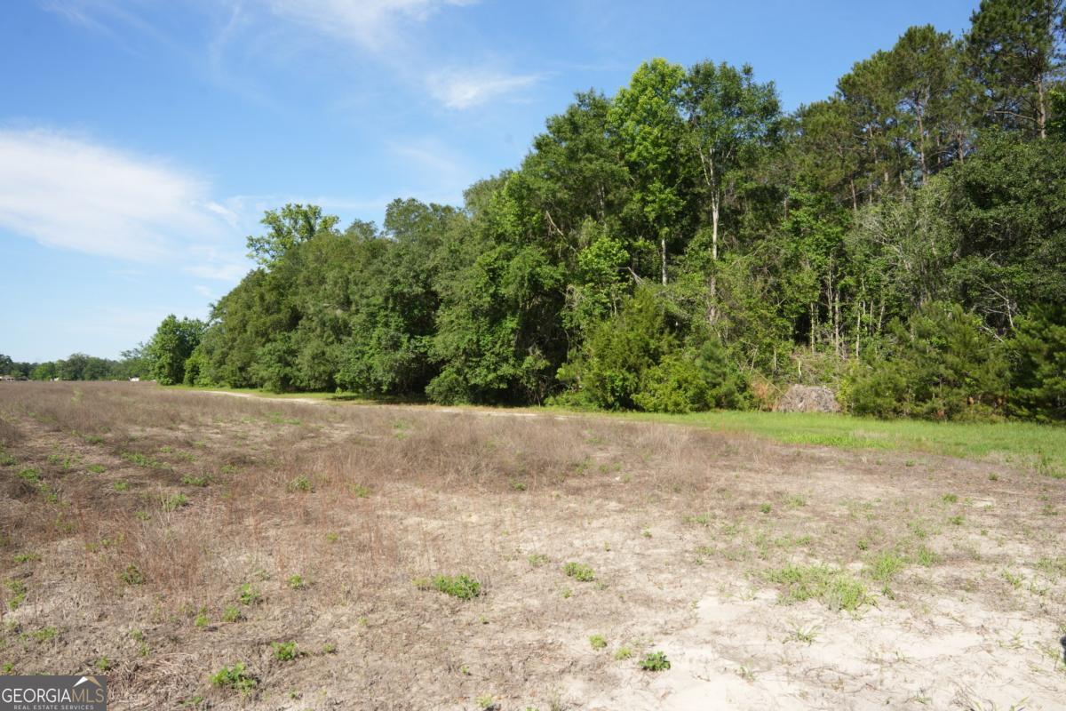 1800 Olive Branch Road Ellabell, GA 31308 - Photo 20 of 20