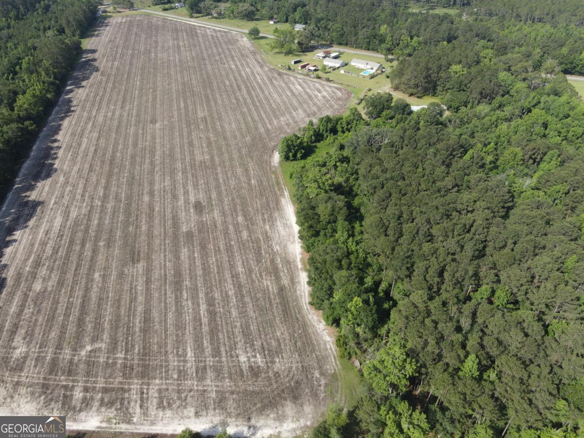 1800 Olive Branch Road Ellabell, GA 31308 - Photo 10 of 20