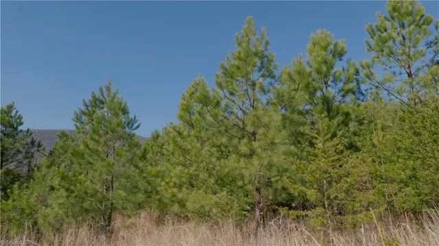 $499,000 | 337 Goat House Road, Lambsburg, VA 24351