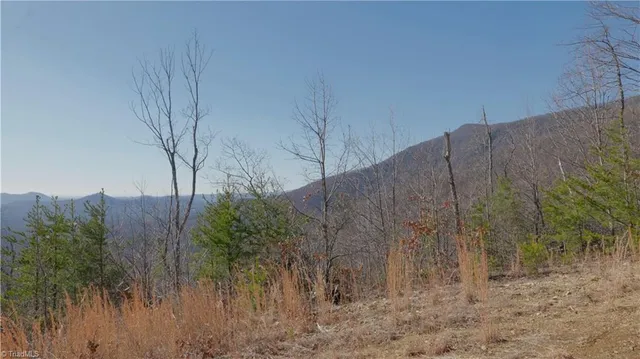 $499,000 | 337 Goat House Road, Lambsburg, VA 24351