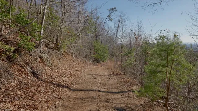 $499,000 | 337 Goat House Road, Lambsburg, VA 24351