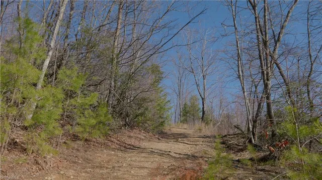 $499,000 | 337 Goat House Road, Lambsburg, VA 24351