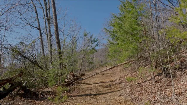 $499,000 | 337 Goat House Road, Lambsburg, VA 24351