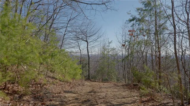 $499,000 | 337 Goat House Road, Lambsburg, VA 24351