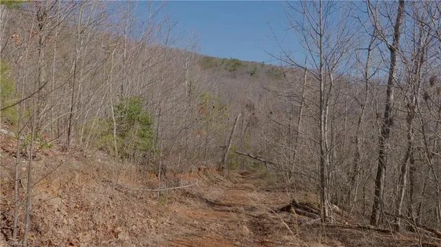 $499,000 | 337 Goat House Road, Lambsburg, VA 24351