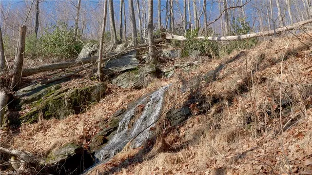 $499,000 | 337 Goat House Road, Lambsburg, VA 24351