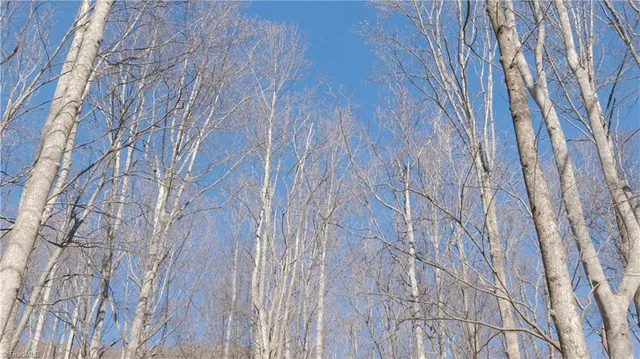 $499,000 | 337 Goat House Road, Lambsburg, VA 24351