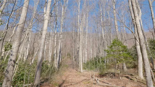 $499,000 | 337 Goat House Road, Lambsburg, VA 24351