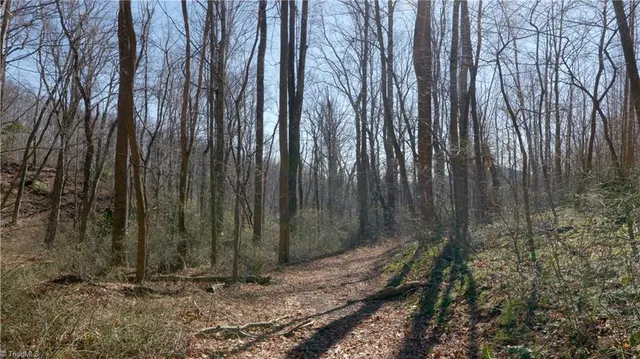 $499,000 | 337 Goat House Road, Lambsburg, VA 24351