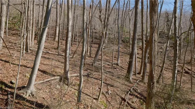 $499,000 | 337 Goat House Road, Lambsburg, VA 24351