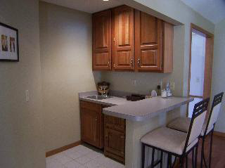 8108 Adler Road Lambertville, MI 48144 - Photo 13 of 13 Great Room Wet Bar