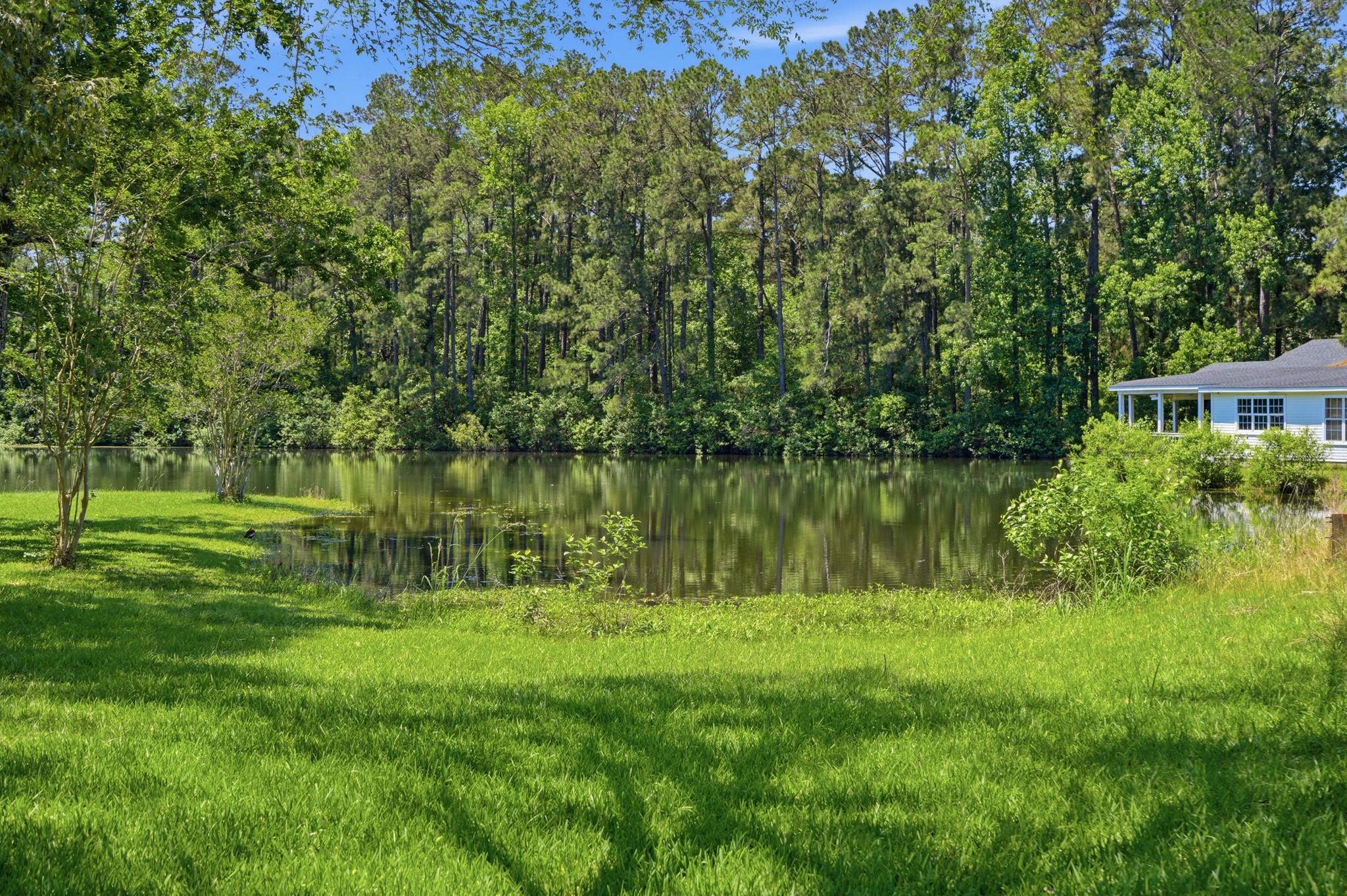 199 Apple Tree Livingston, TX 77351 - Photo 39 of 41 Another pic of the fishing pond in the front