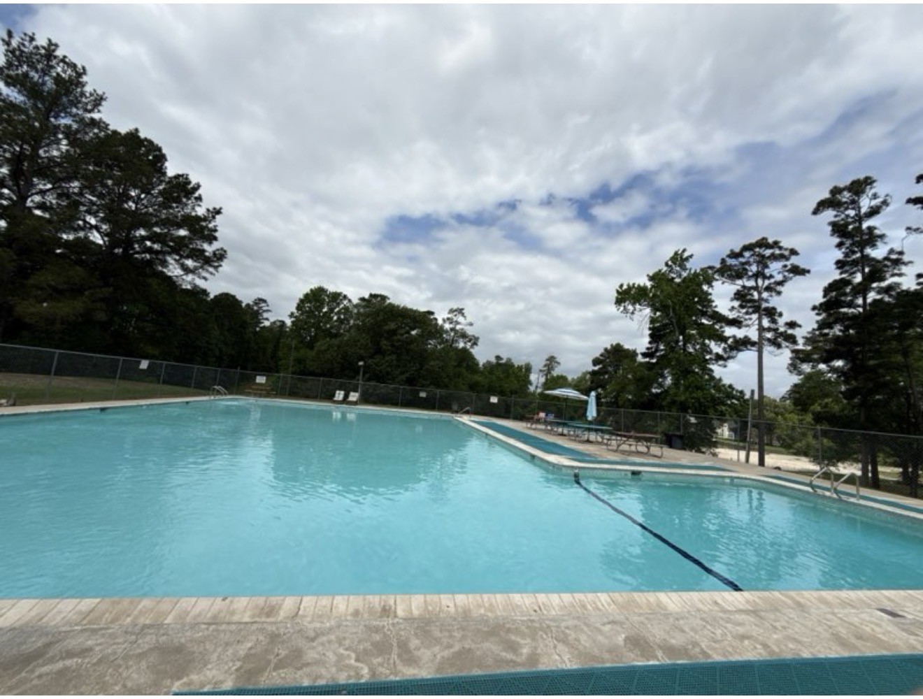 199 Apple Tree Livingston, TX 77351 - Photo 9 of 41 a view of a swimming pool with a yard