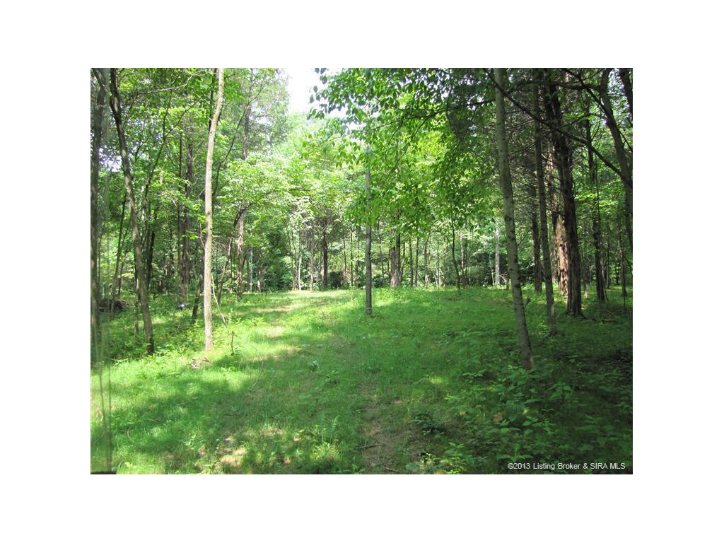 -tract 1 Hottell Road Corydon, IN 47112 - Photo 5 of 14 Gallery Image 5