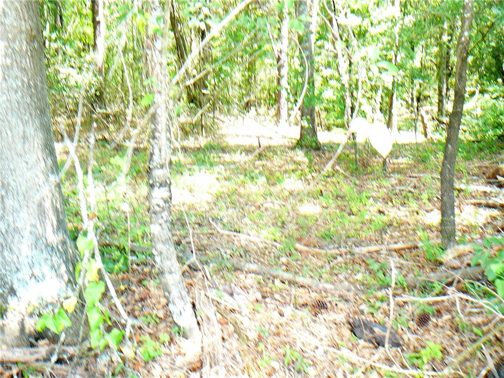 7.62-acs Phillips Road Anderson, SC 29625 - Photo 2 of 7