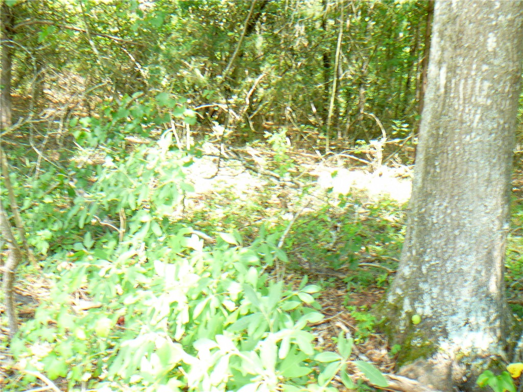 7.62-acs Phillips Road Anderson, SC 29625 - Photo 3 of 7 Gallery Image 3