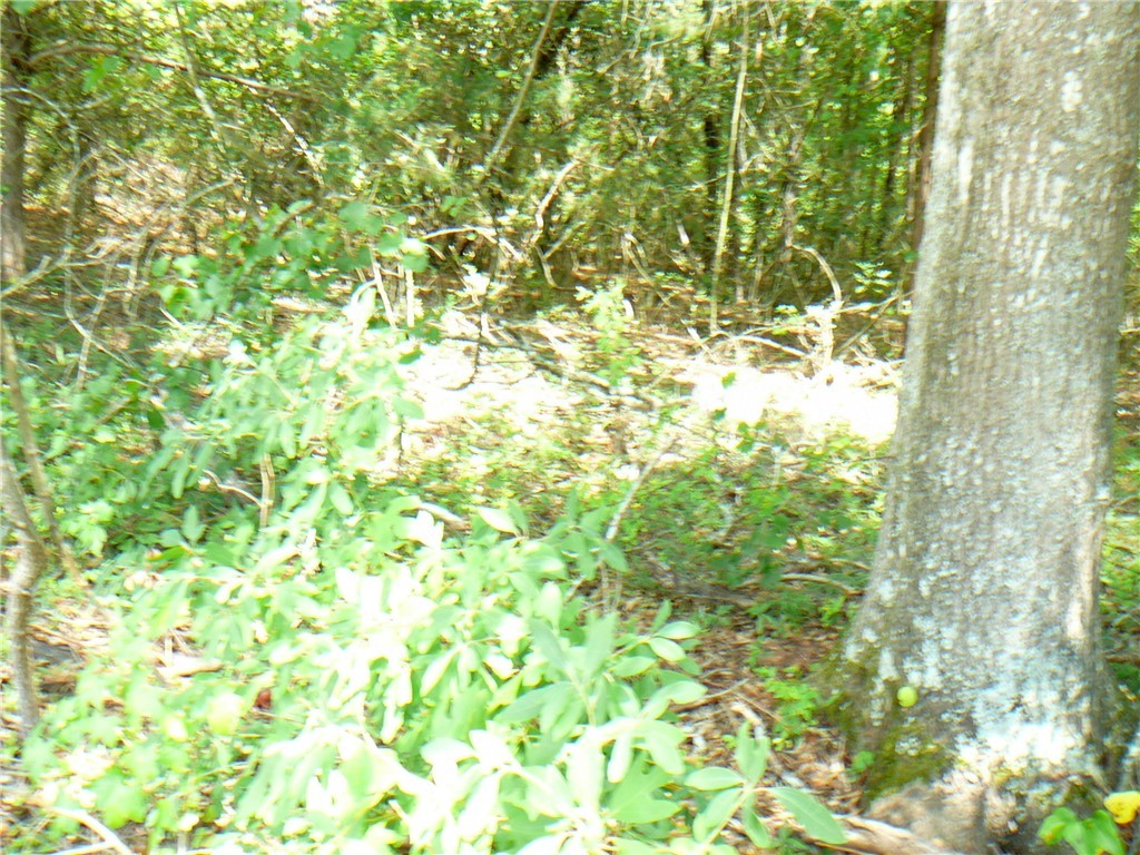 7.62-acs Phillips Road Anderson, SC 29625 - Photo 3 of 7