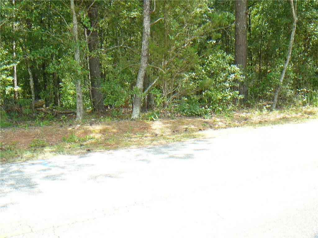 7.62-acs Phillips Road Anderson, SC 29625 - Photo 4 of 7