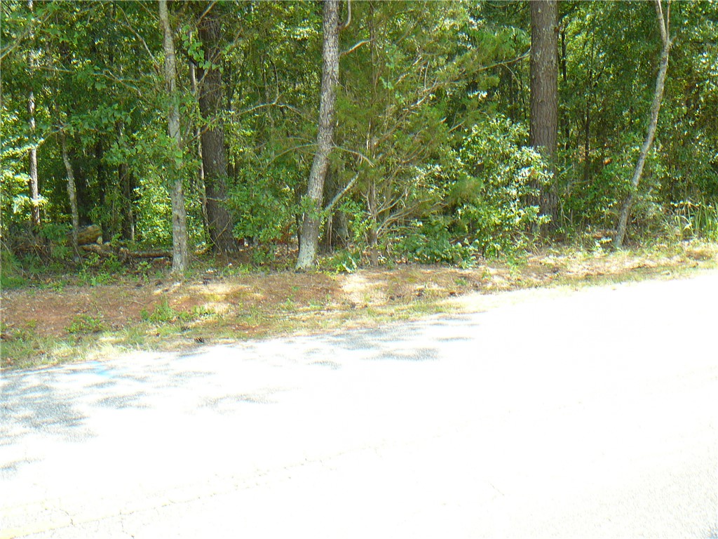 7.62-acs Phillips Road Anderson, SC 29625 - Photo 4 of 7 Gallery Image 4