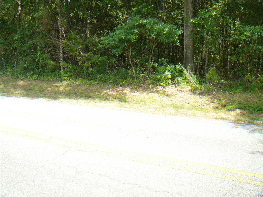 7.62-acs Phillips Road Anderson, SC 29625 - Photo 5 of 7