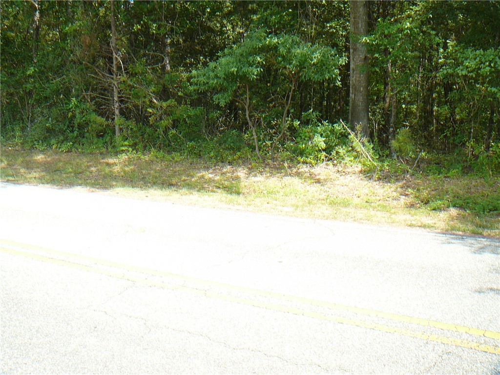 7.62-acs Phillips Road Anderson, SC 29625 - Photo 5 of 7