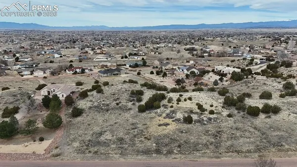 a view of a yard