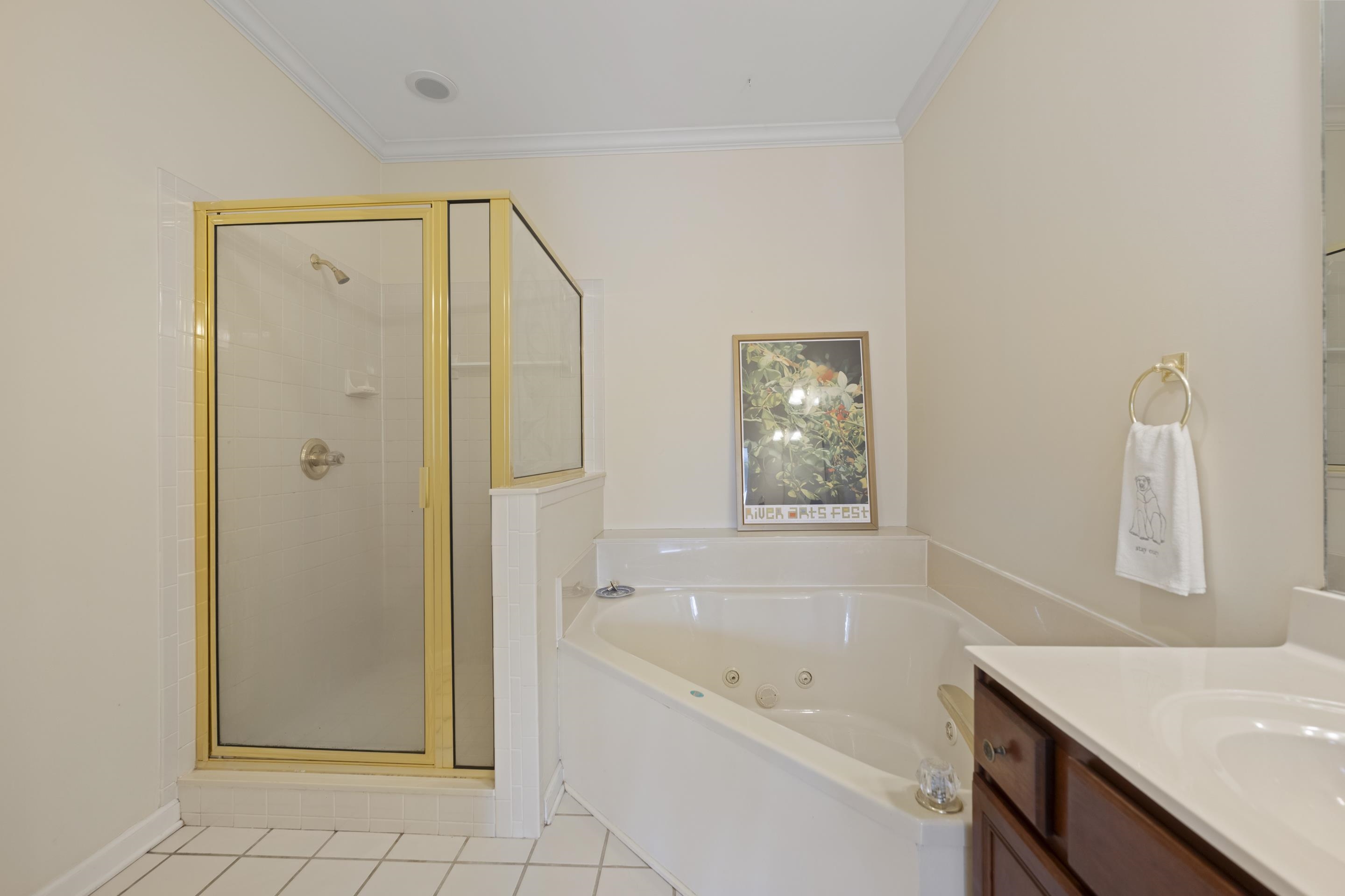 1701 Village Ridge Place Collierville, TN 38017 - Photo 20 of 38 a bathroom with a tub shower vanity and a sink