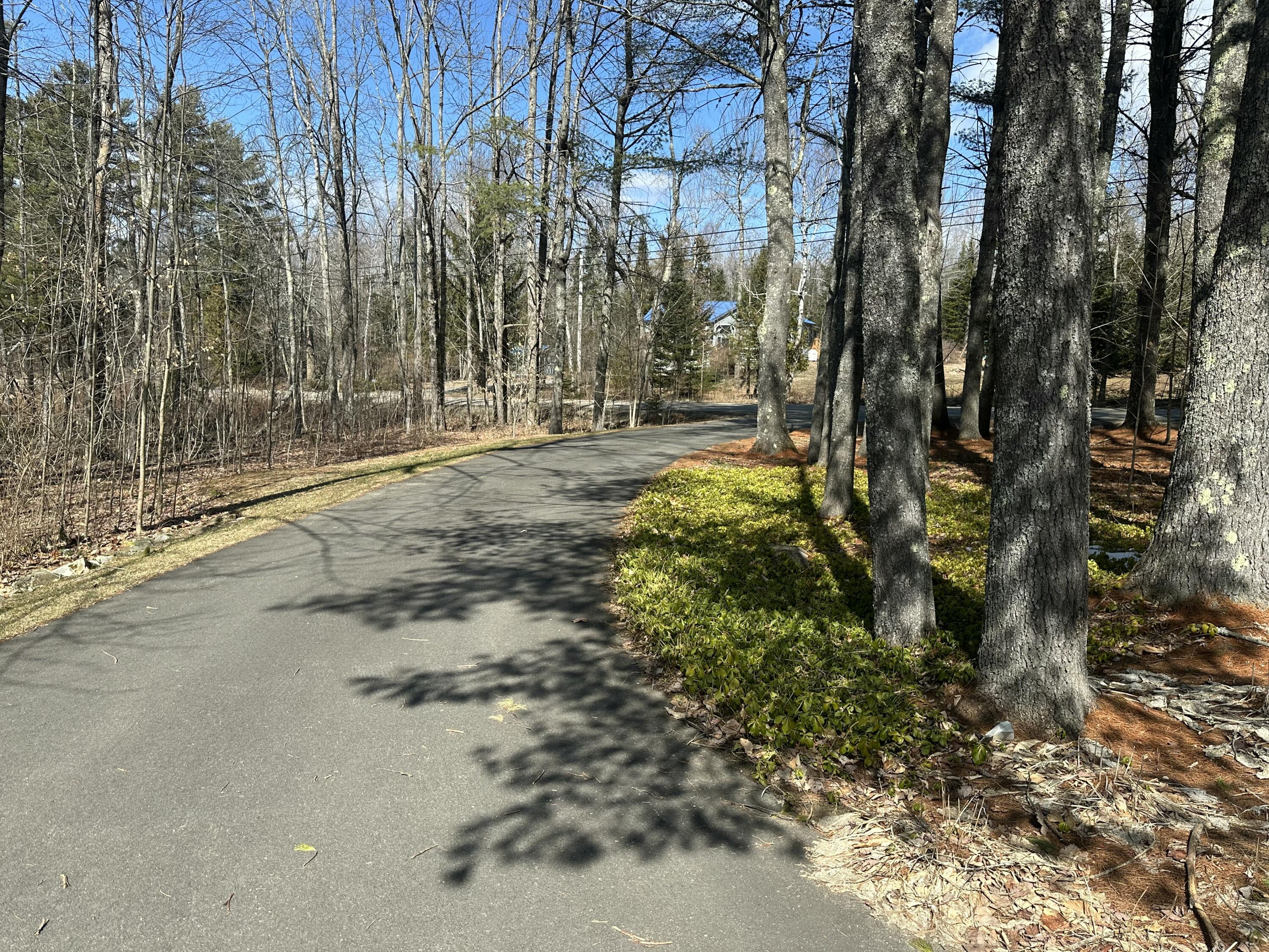 271 Hampden Road Carmel, ME 04419 - Photo 47 of 67 driveway9