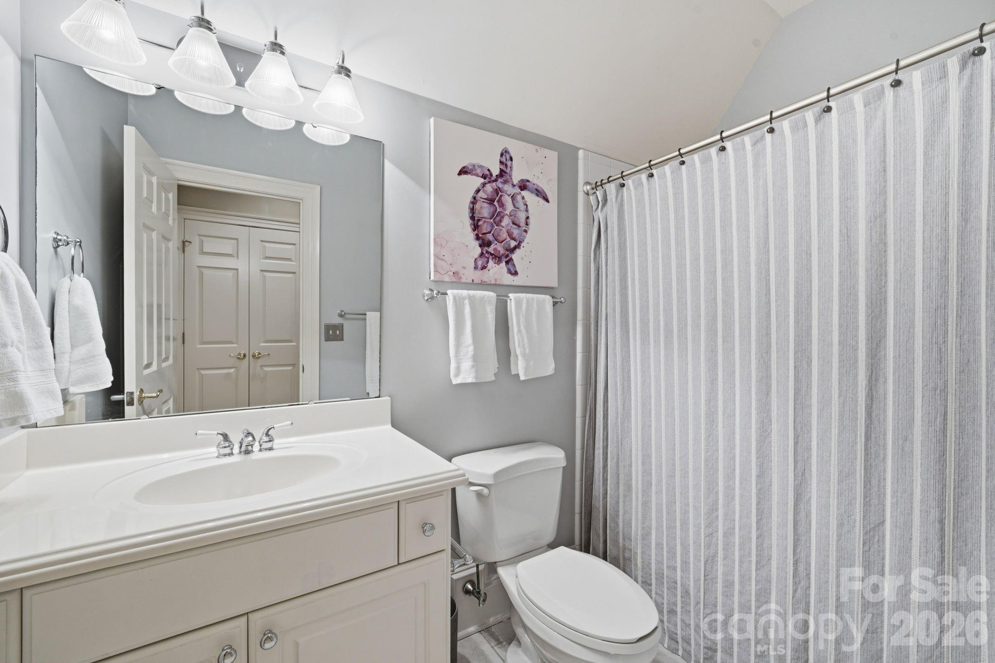 185 Quaker Road Mooresville, NC 28117 - Photo 29 of 43 a bathroom with a sink a mirror and a toilet