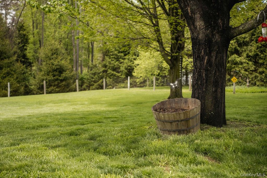 4 Echo Valley Road Red Hook, NY 12571 - Photo 32 of 33 a view of a garden with a tree