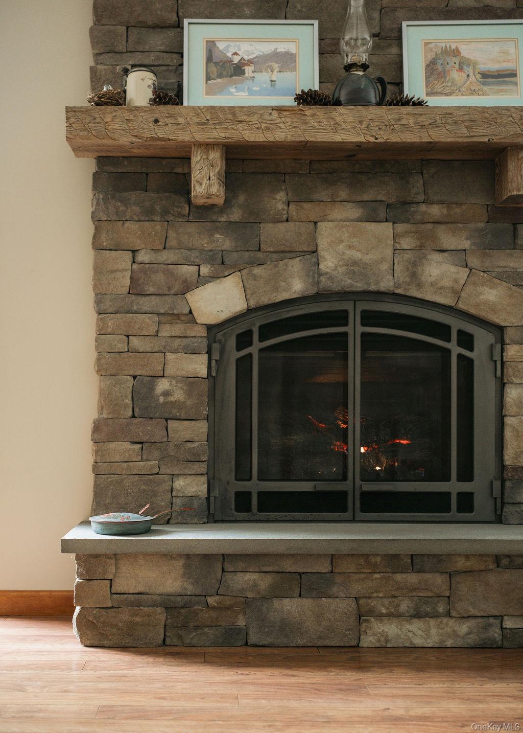 4 Echo Valley Road Red Hook, NY 12571 - Photo 8 of 33 a living room with a fireplace