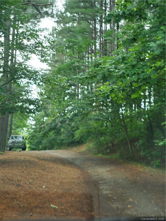 483 Freeman Road Forest City, NC 28043 - Photo 21 of 21 a view of a yard with a tree