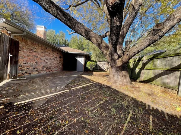a view of a backyard with a large tree