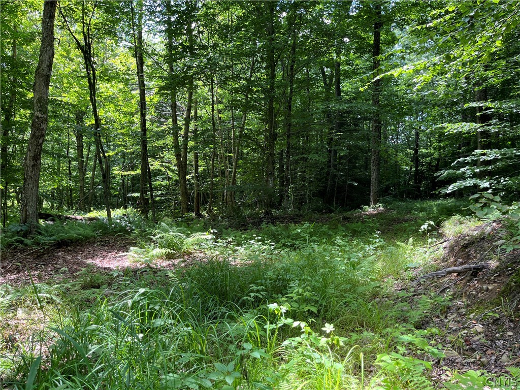 East Town Line Road Lorraine, NY 13659 - Photo 17 of 34 Gallery Image 17
