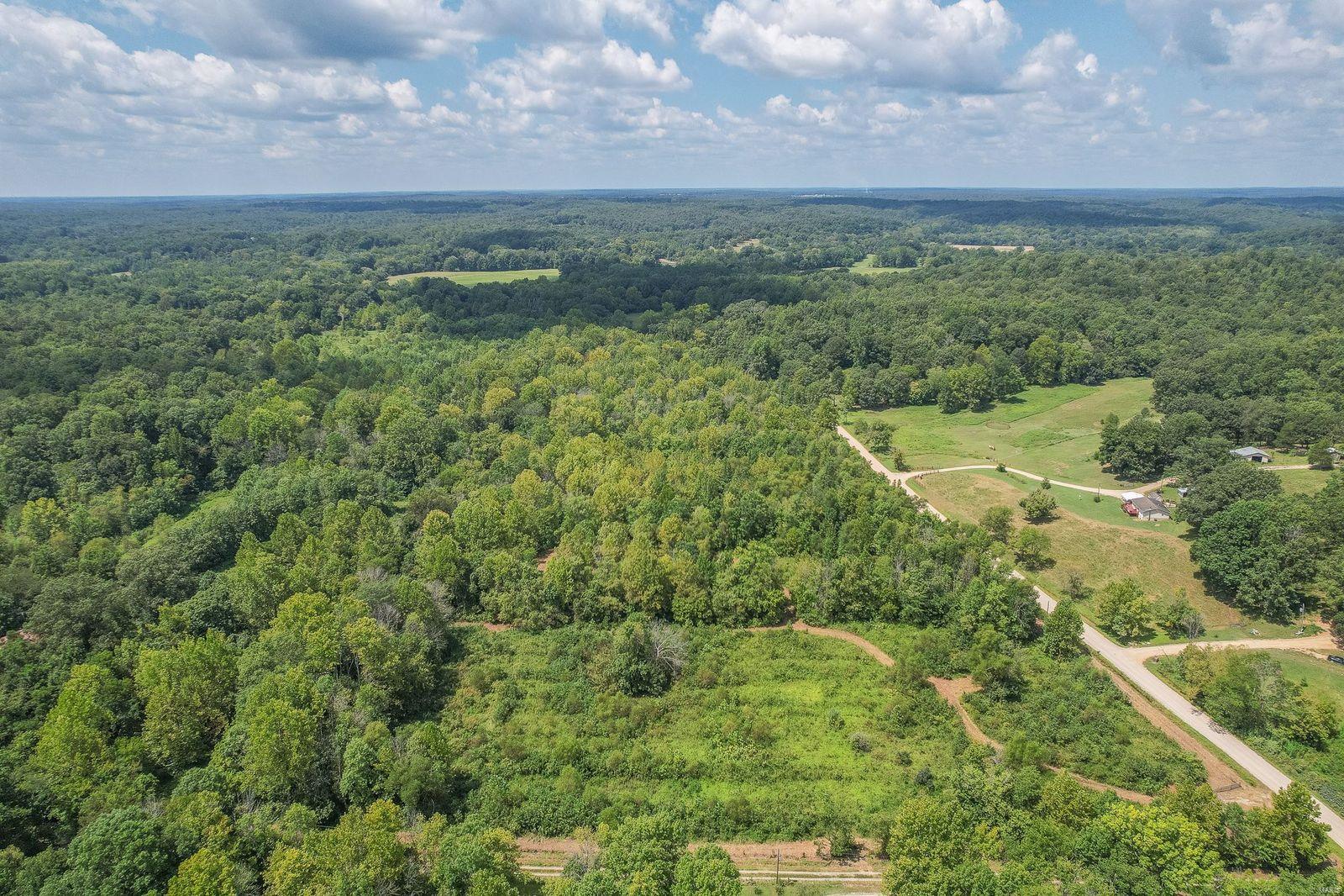 0 North Of Co Road Poplar Bluff, MO 63901 - Photo 2 of 5