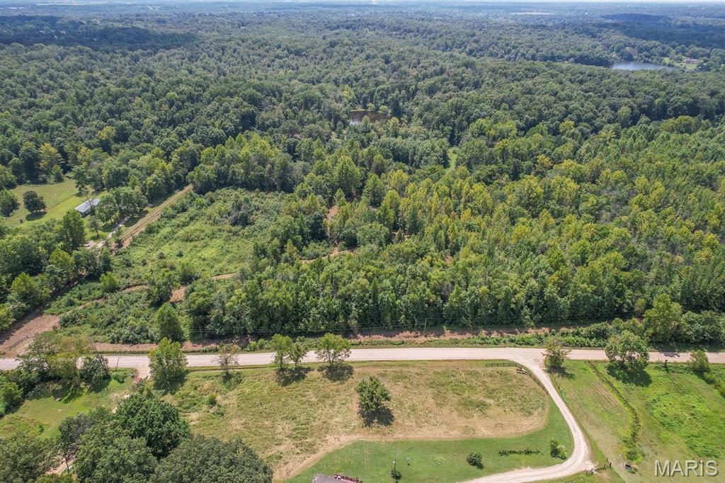 0 North Of Co Road Poplar Bluff, MO 63901 - Photo 3 of 5