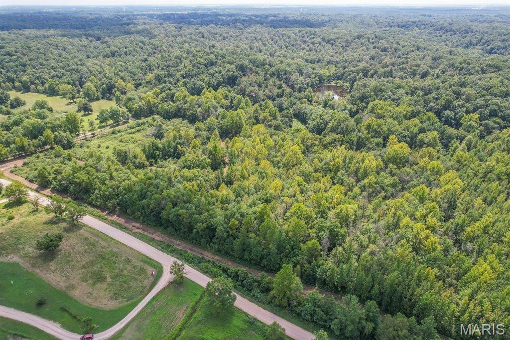 0 North Of Co Road Poplar Bluff, MO 63901 - Photo 5 of 5