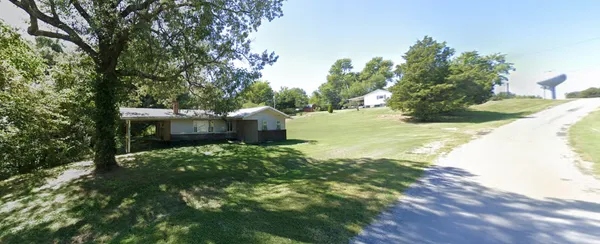 a view of a garden with a tree
