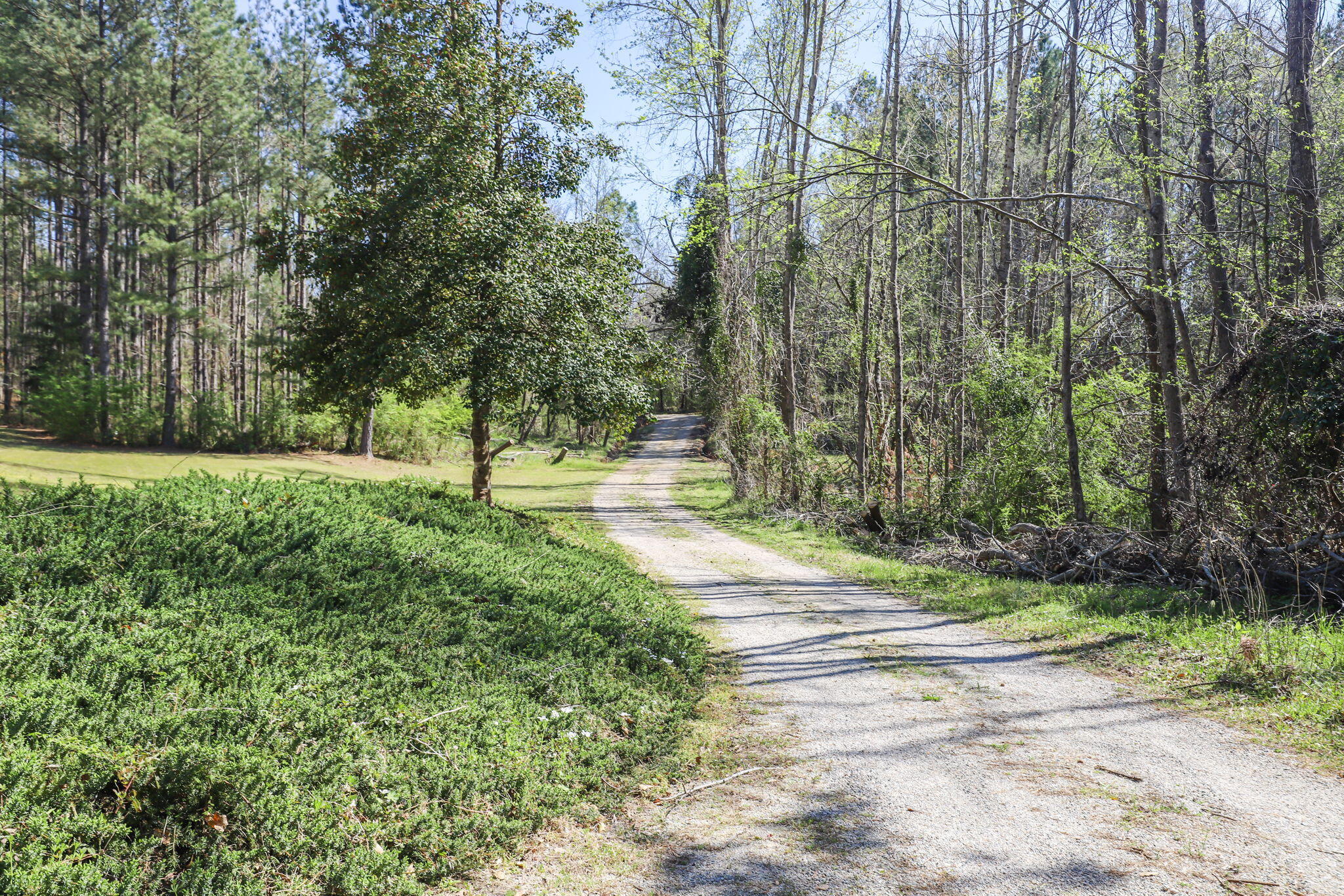 2522 Martintown Road Edgefield, SC 29824 - Photo 40 of 42 40-web-or-mls-40-IMG_3224