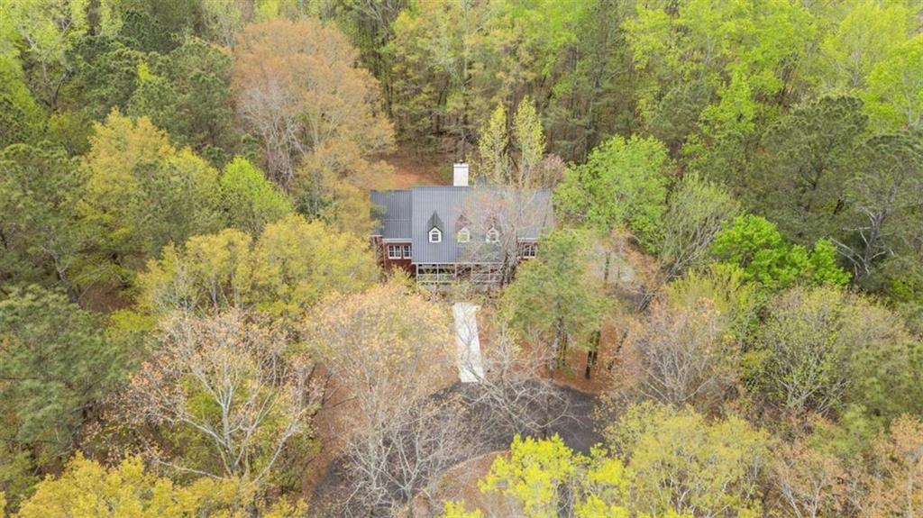 301 Highway 5 Roopville, GA 30170 - Photo 3 of 67