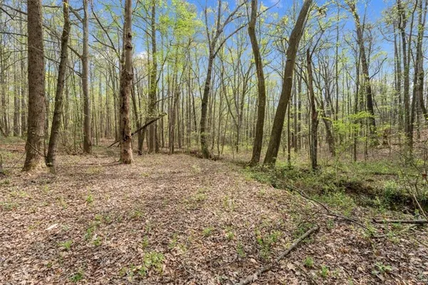 $695,000 | 301 Highway 5, Roopville, GA 30170