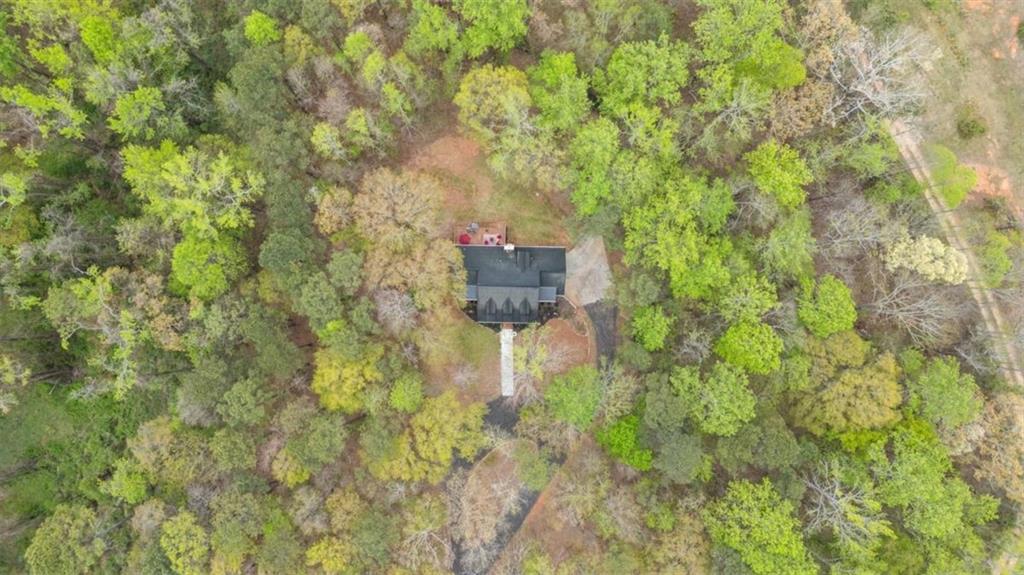 301 Highway 5 Roopville, GA 30170 - Photo 61 of 67