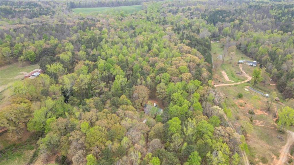 301 Highway 5 Roopville, GA 30170 - Photo 65 of 67