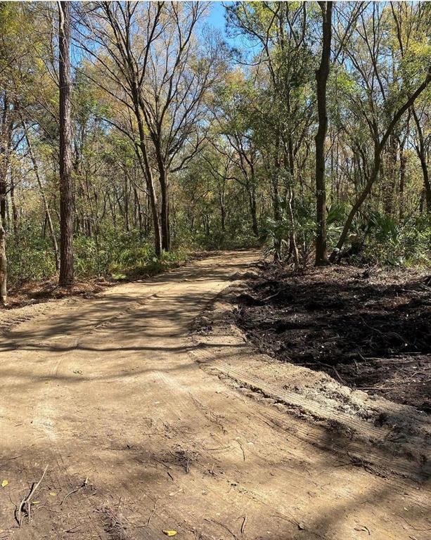 Amherst Tampa, FL 33625 - Photo 1 of 1