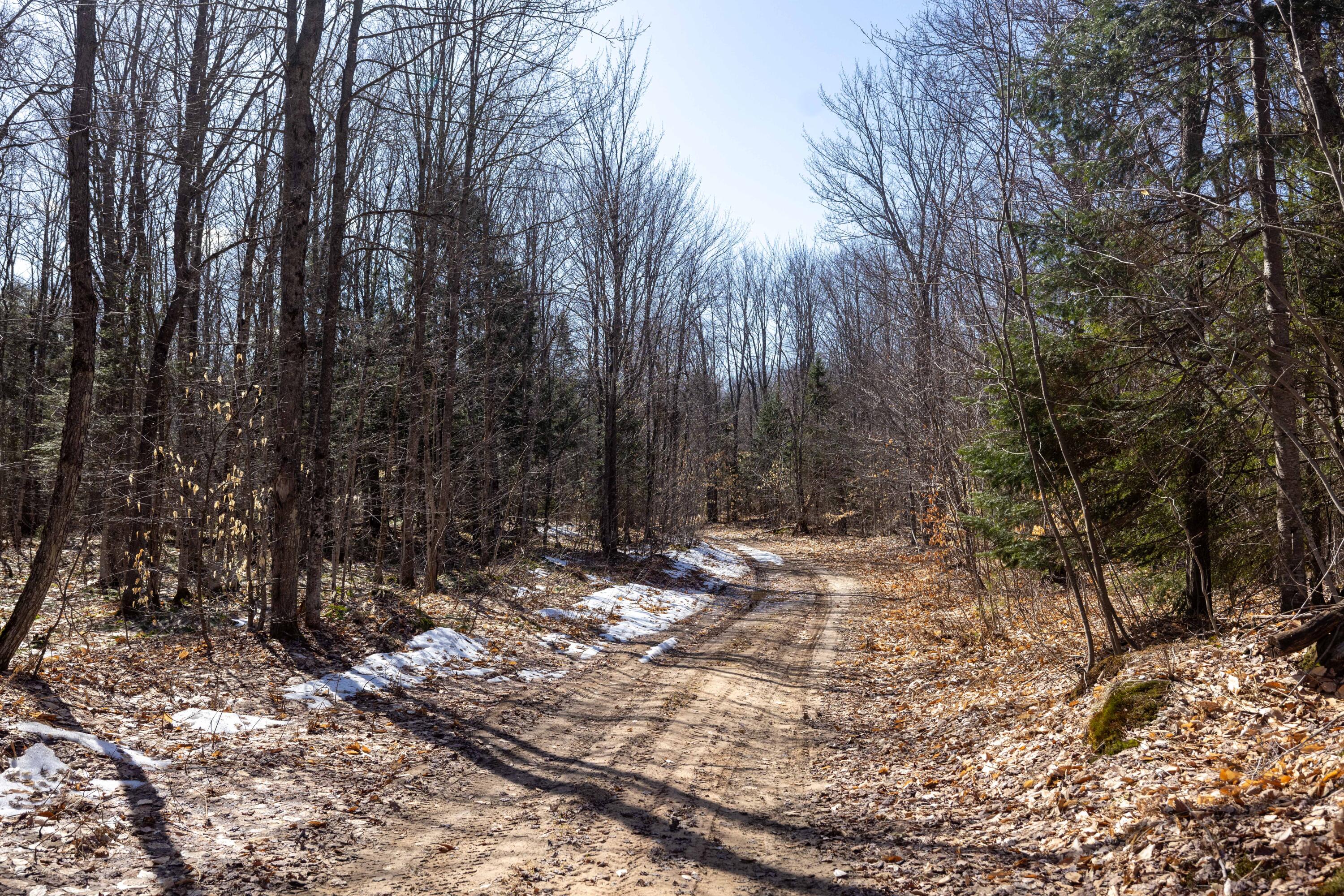 0 Old Grade Road Newberry, MI 49868 - Photo 8 of 31 Gallery Image 8
