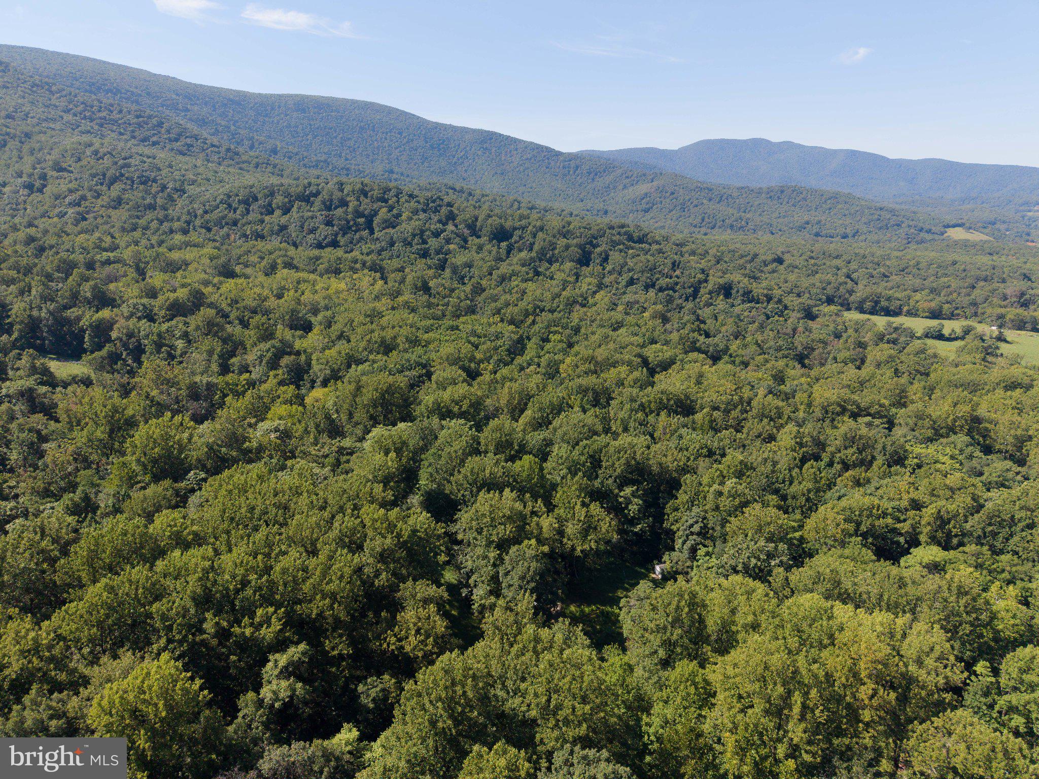 2033 Smith Run Road Bentonville, VA 22610 - Photo 21 of 71 Gallery Image 21